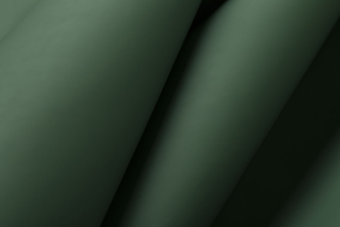 Couroquímica - Couro
