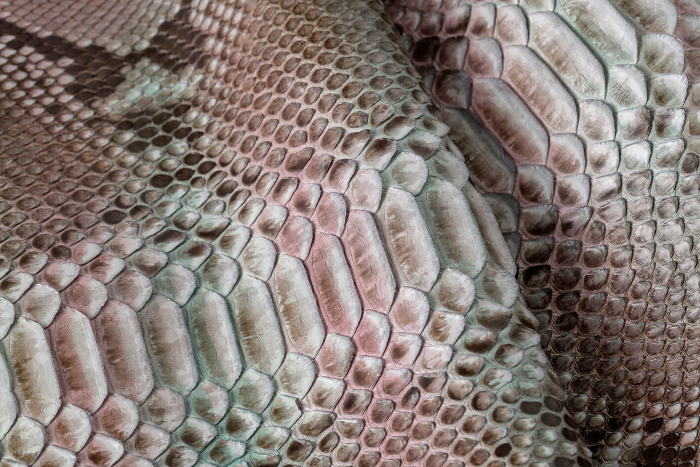 Arte da Pele - Leather